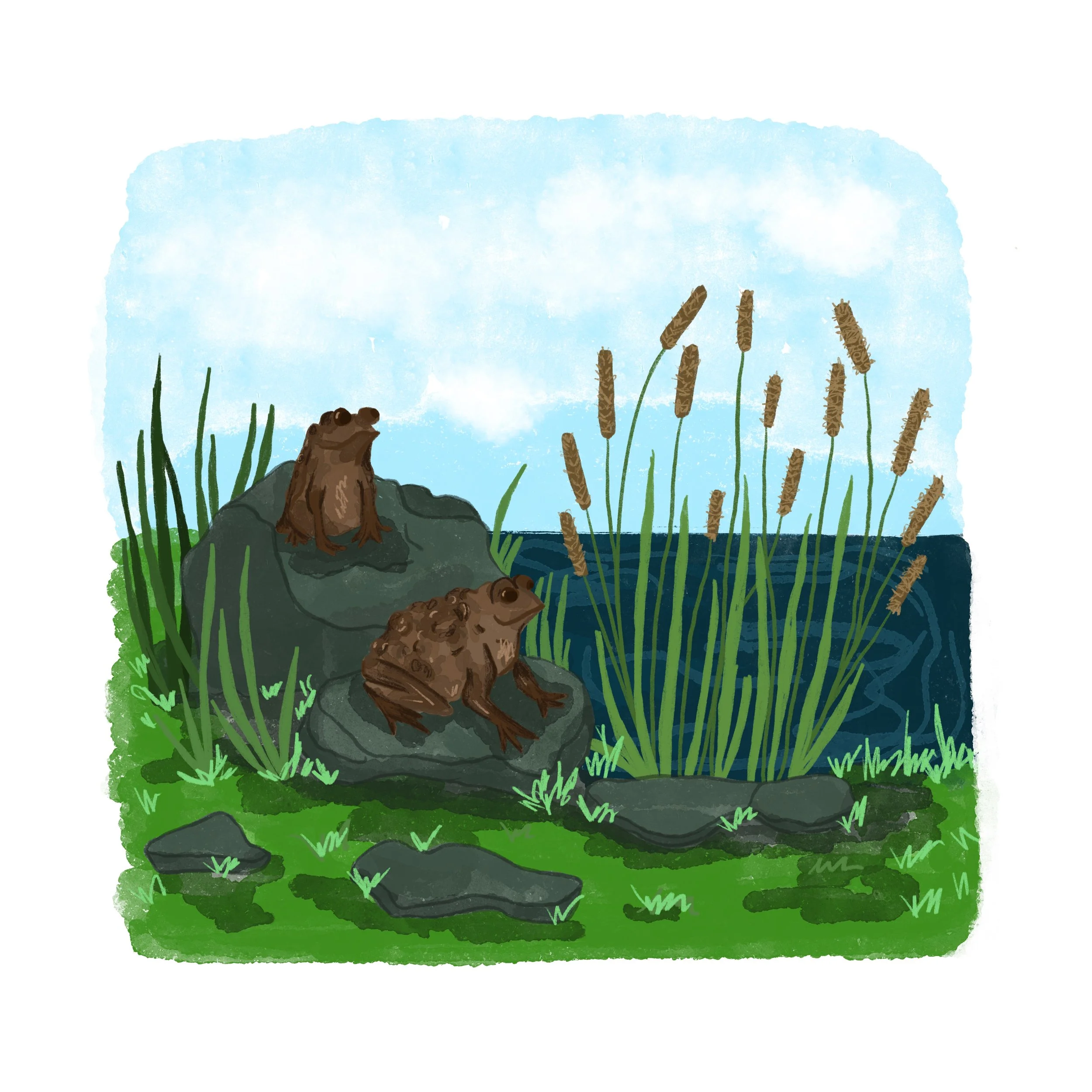 Untitled_Artwork 34.JPG