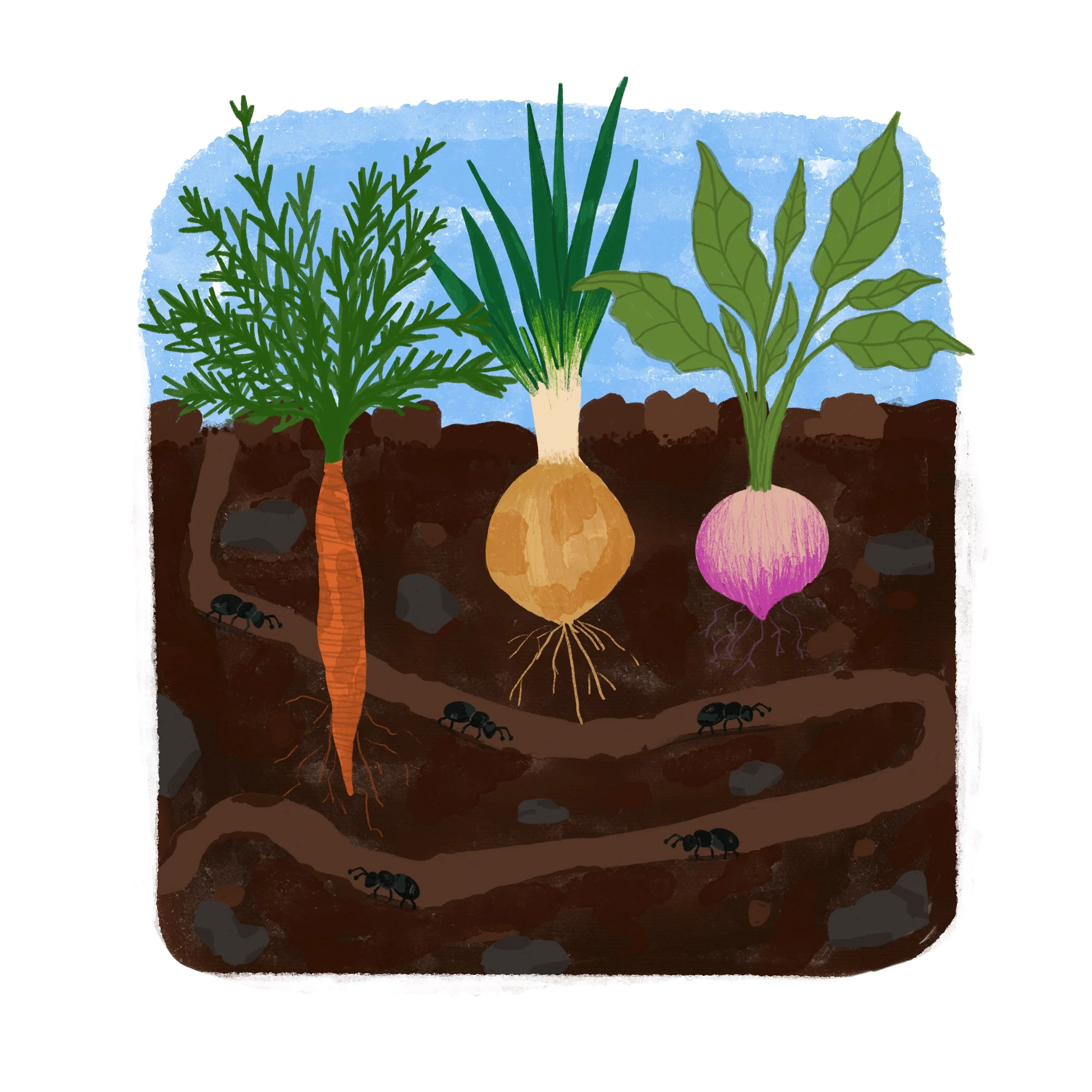 Untitled_Artwork 28.JPG