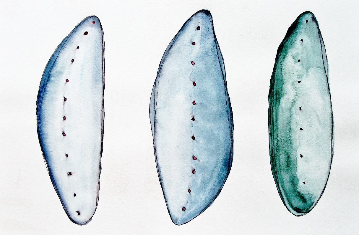 3 Mother Moon Wombs