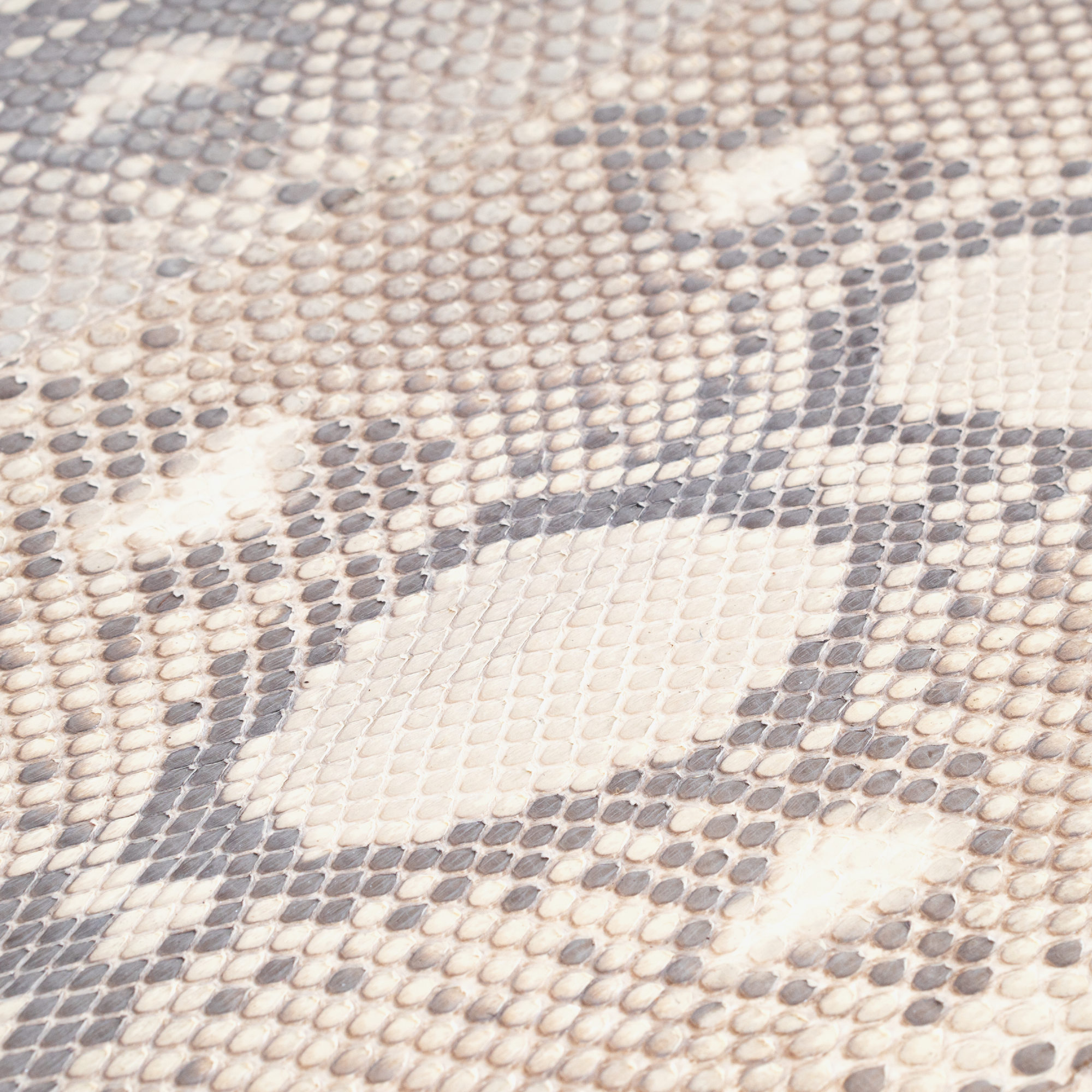 [OR258] Python Edelman Leather Parsons Console - Square11.png