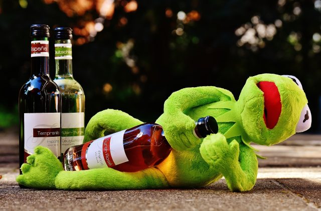 kermit-1651615_1920-640x421.jpg