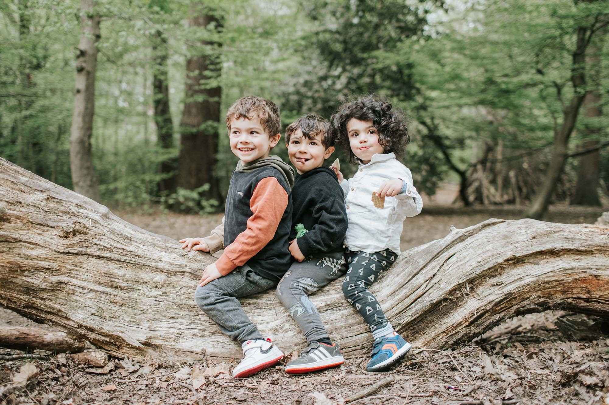 Three little boys sitting on a log in Highgate Woods.