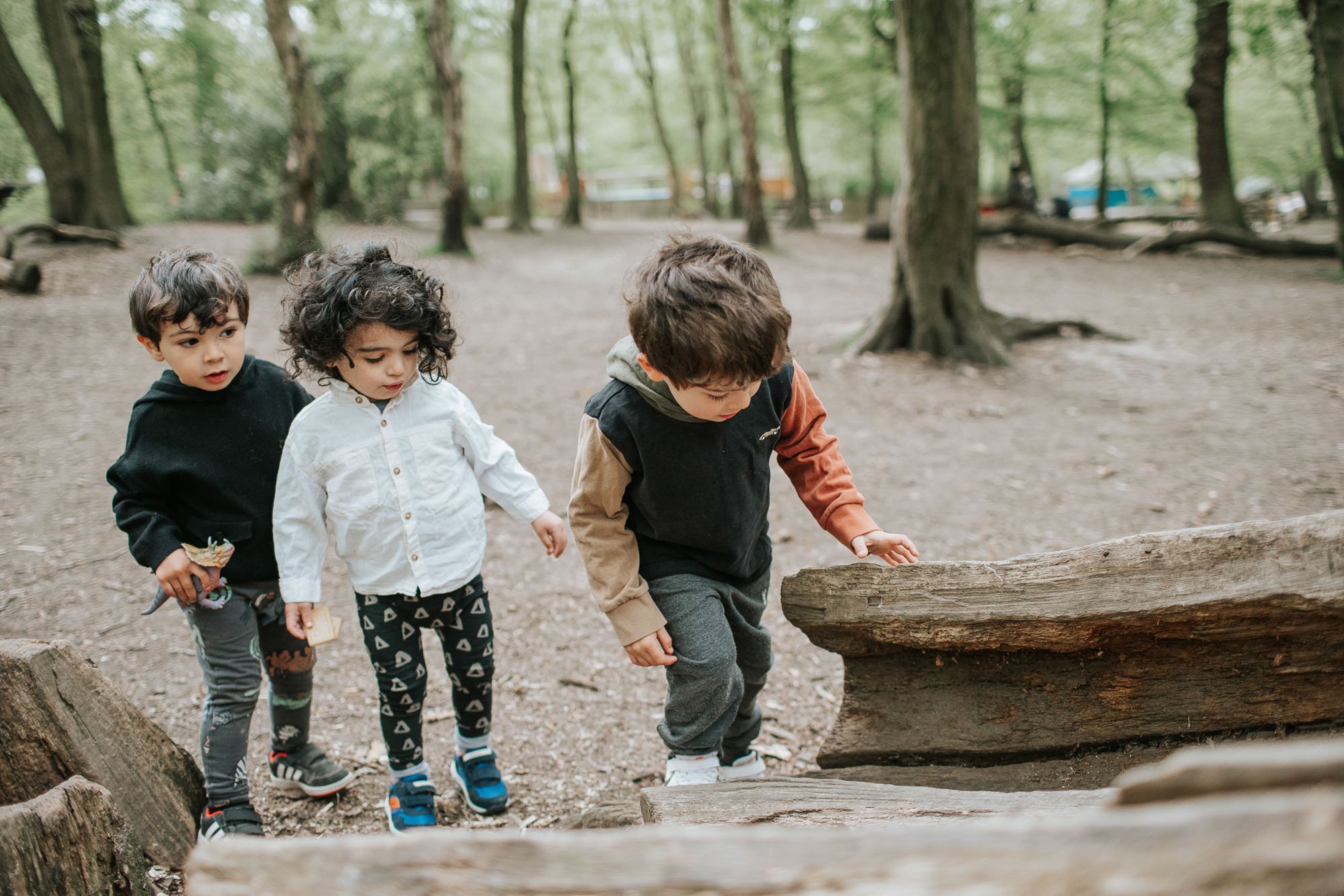 Three little boys walking on a log in Highgate Woods.