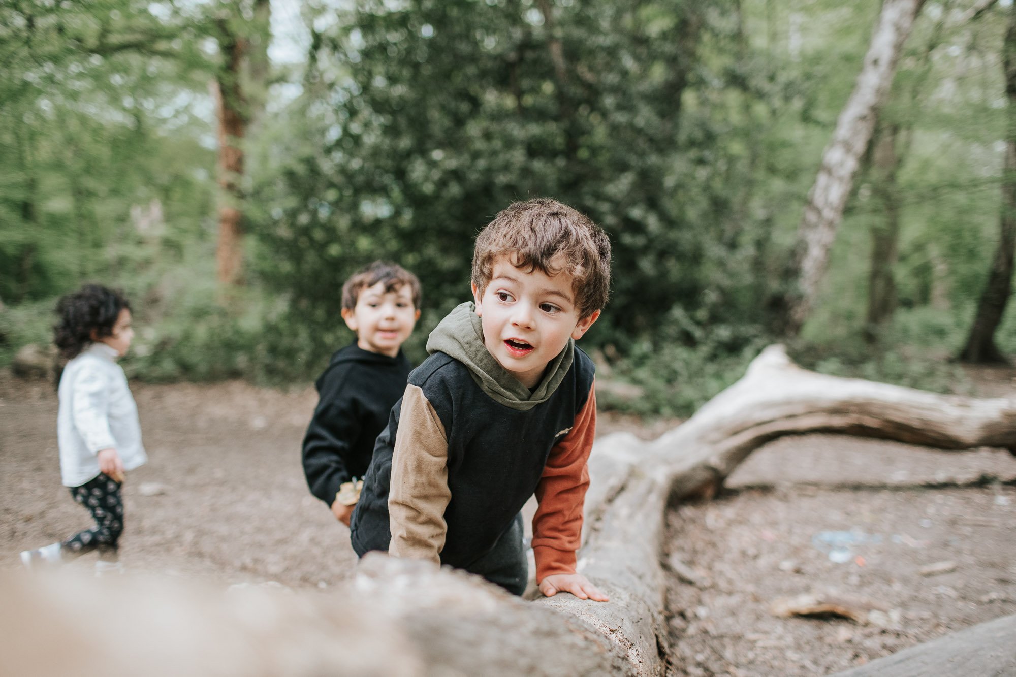 Two brothers playing on a log in Highgate Woods.