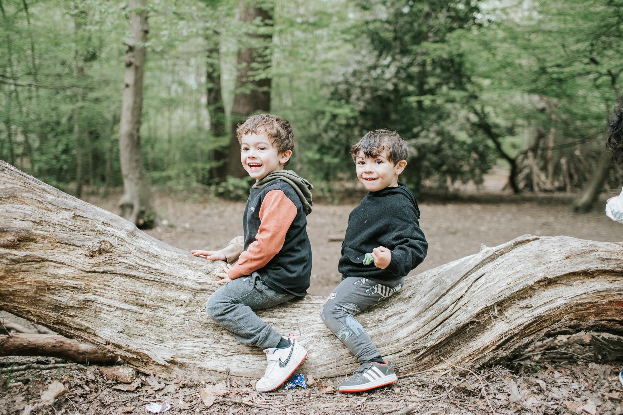 Two young boys sitting on a log in Highgate Woods.