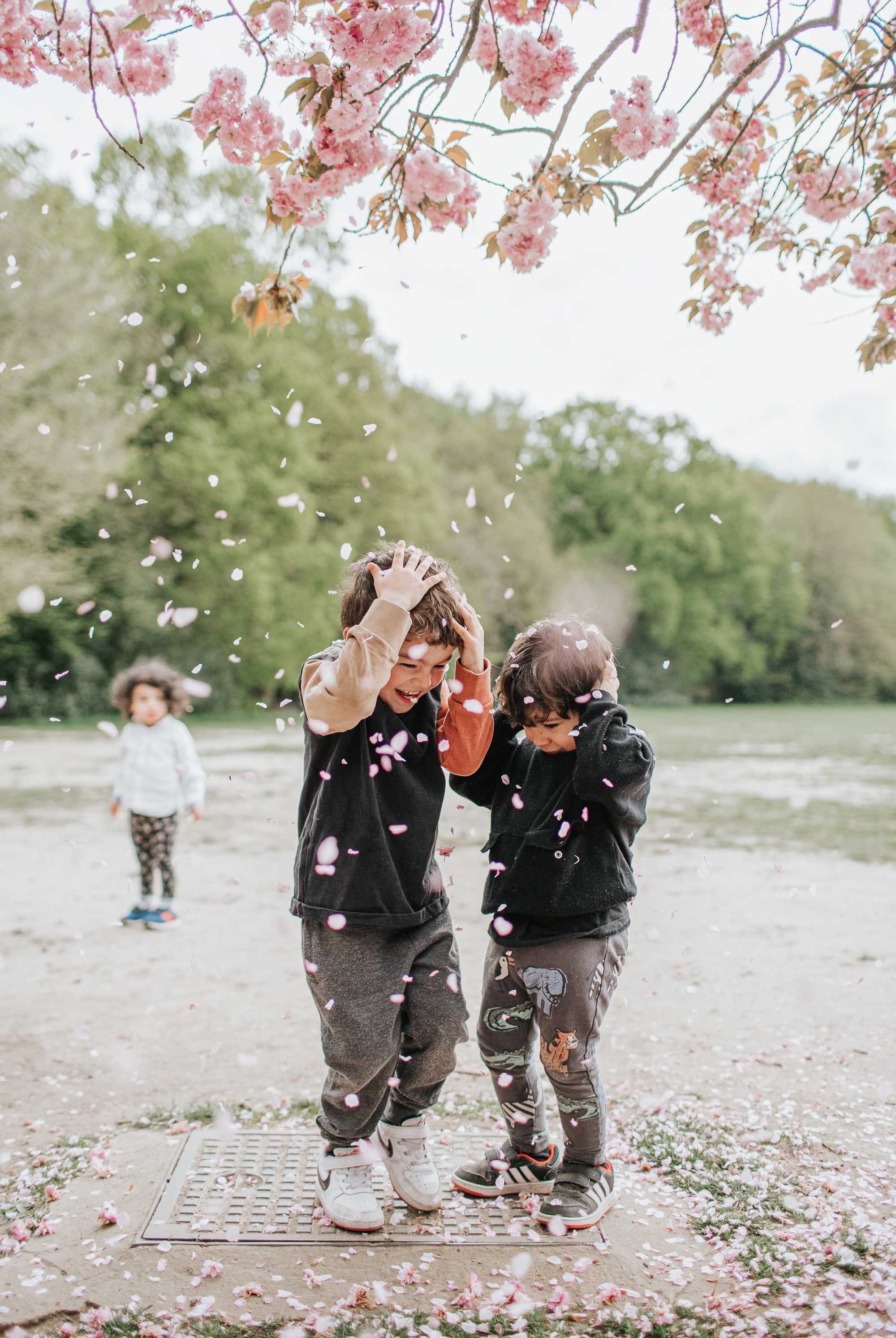 Three young boys cowering from the falling cherry blossom in Highgate Woods.