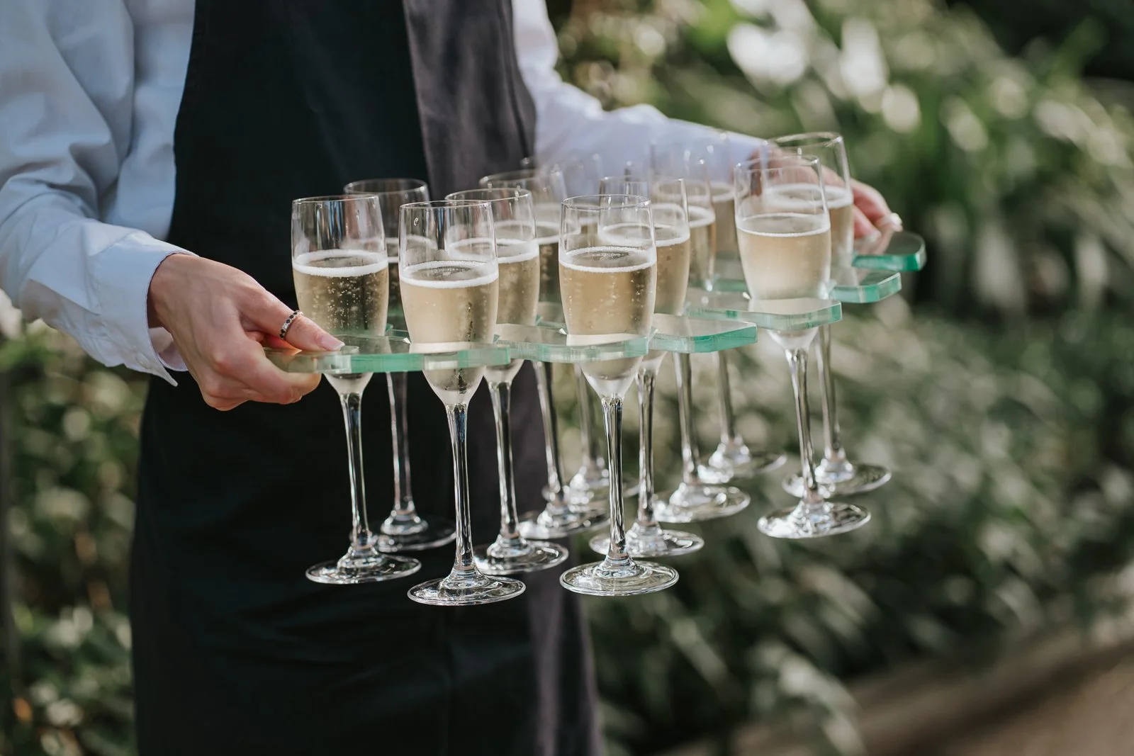  Champagne reception service in the Temperate House at Kew Gardens with sparkling wine being served amongst the botanical surroundings of the iconic glasshouse. 