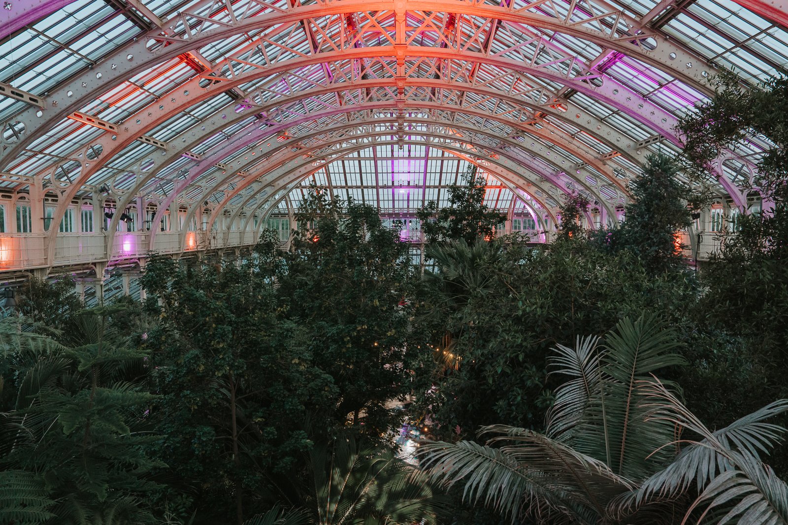  The Temperate House at Kew Gardens illuminated for an evening wedding reception, showcasing its grand Victorian glasshouse architecture and lush botanical displays. 