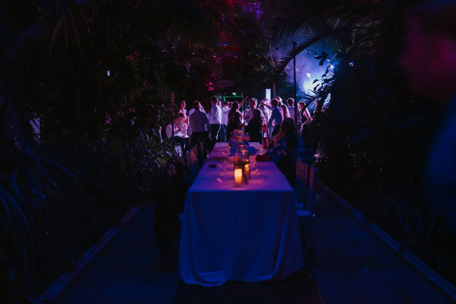  Atmospheric evening view of the wedding reception in the Temperate House at Kew Gardens, with guests dancing beneath colourful lights surrounded by tropical plants. 