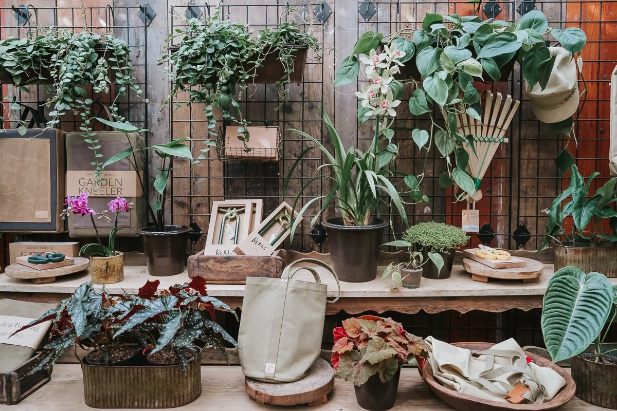  Orchids, trailing plants and gardening accessories displayed on rustic wooden shelves inside Petersham Nurseries, Richmond. 