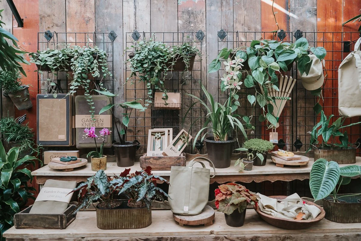  Orchids, trailing greenery and gardening accessories displayed against a rustic wooden wall at Petersham Nurseries, Richmond. 