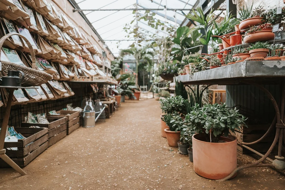  Greenhouse walkway lined with leafy plants, terracotta pots and gardening displays at Petersham Nurseries, Richmond. 