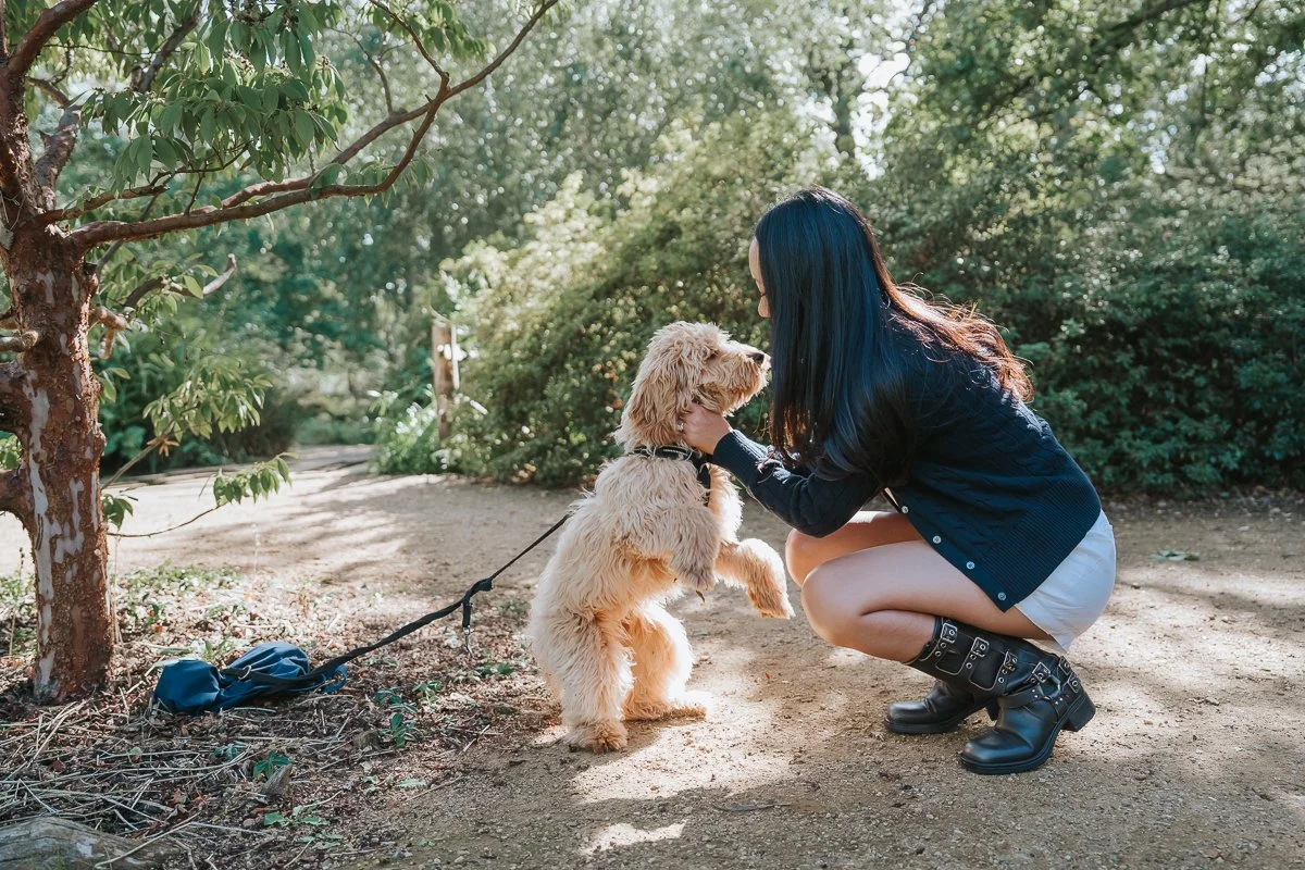  Woman crouching to play with her dog on a shaded woodland path during an engagement photoshoot in Richmond Park. 