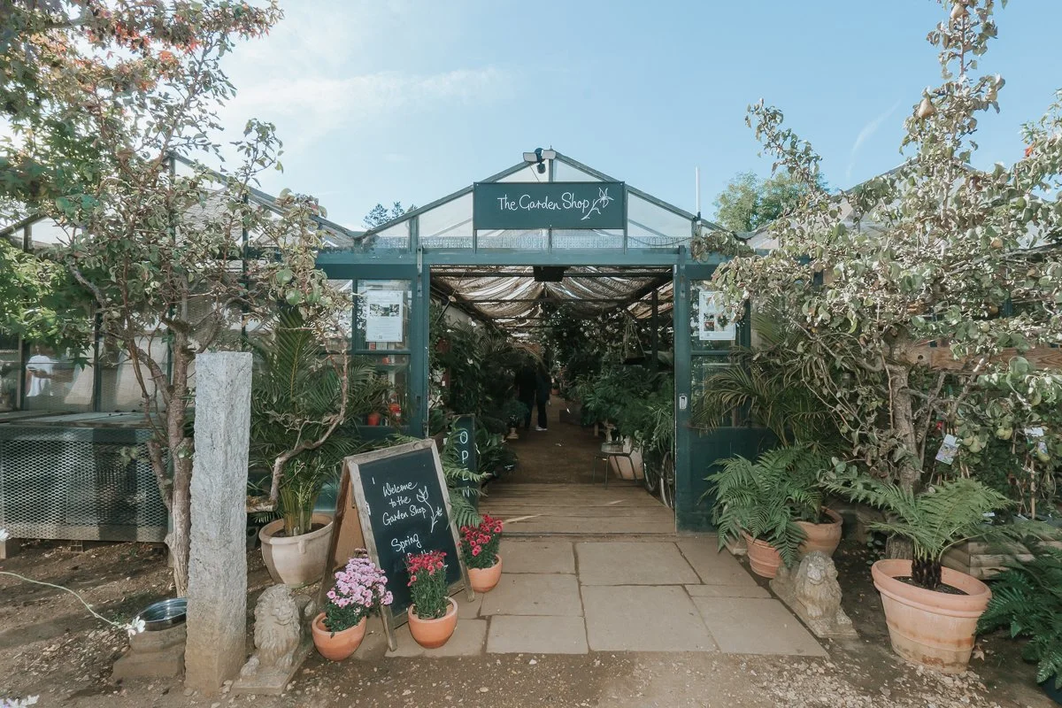 Petersham Nurseries: A Gorgeous Greenhouse Wedding Reception in Richmond 🌿