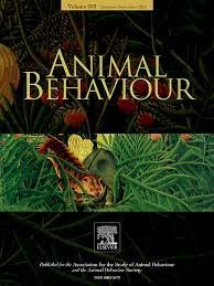 animal behavior.jpeg