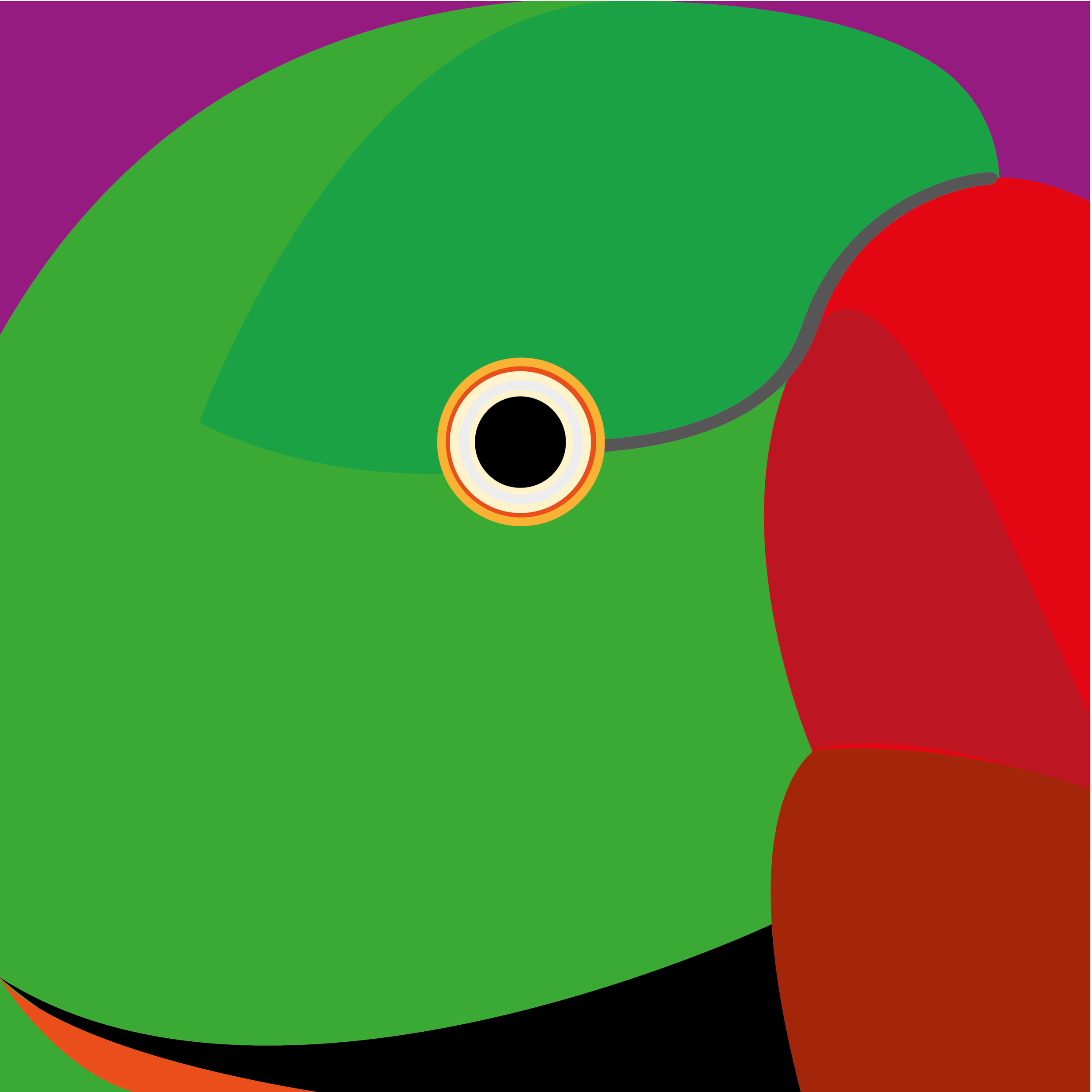 40 x 40 cm birds to print-37.png