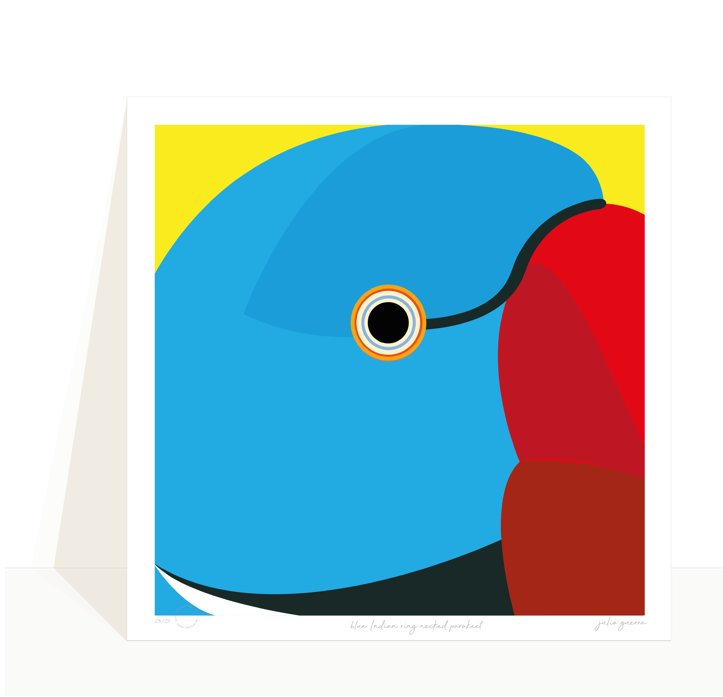 images birds for website-15.png