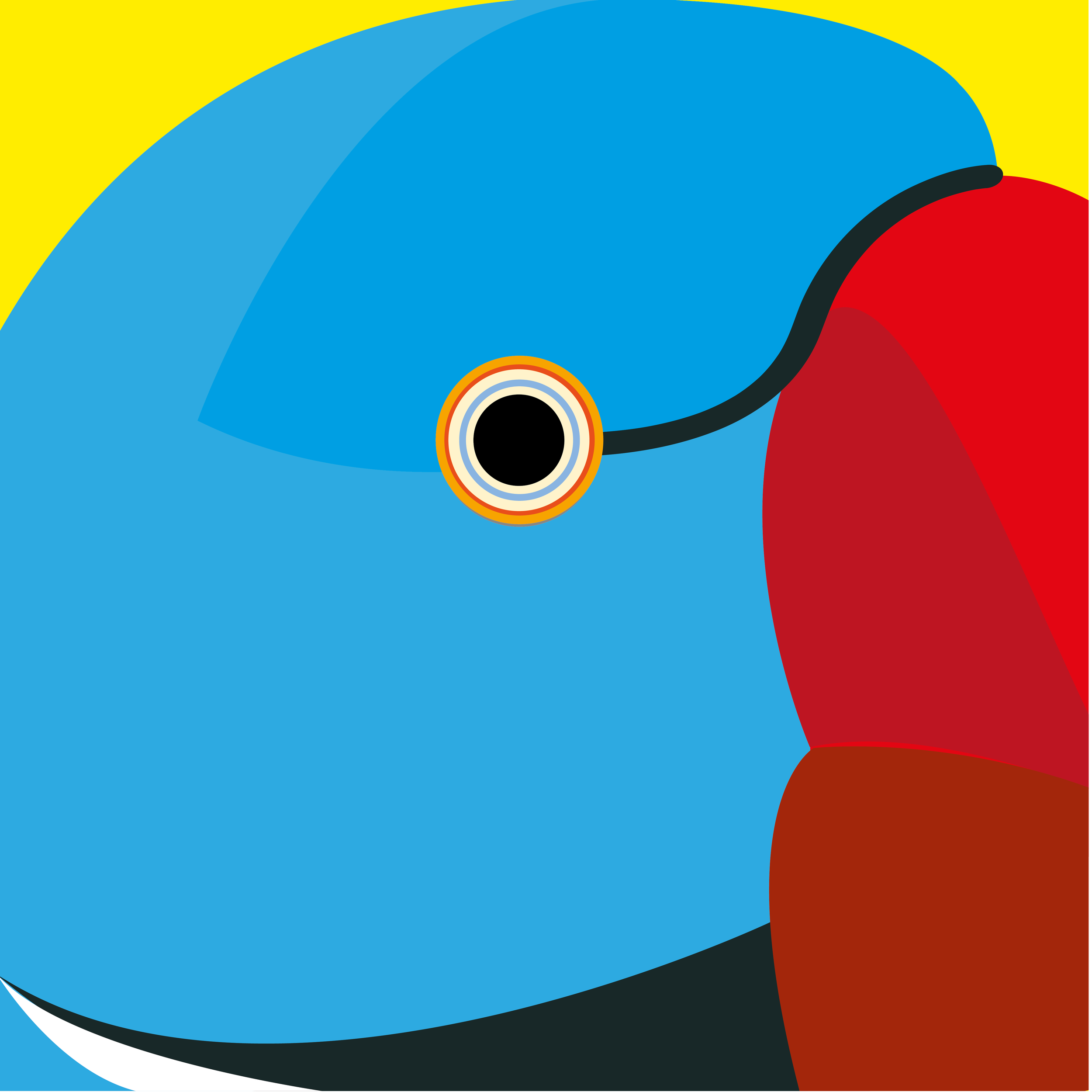 40 x 40 cm birds to print-38.png