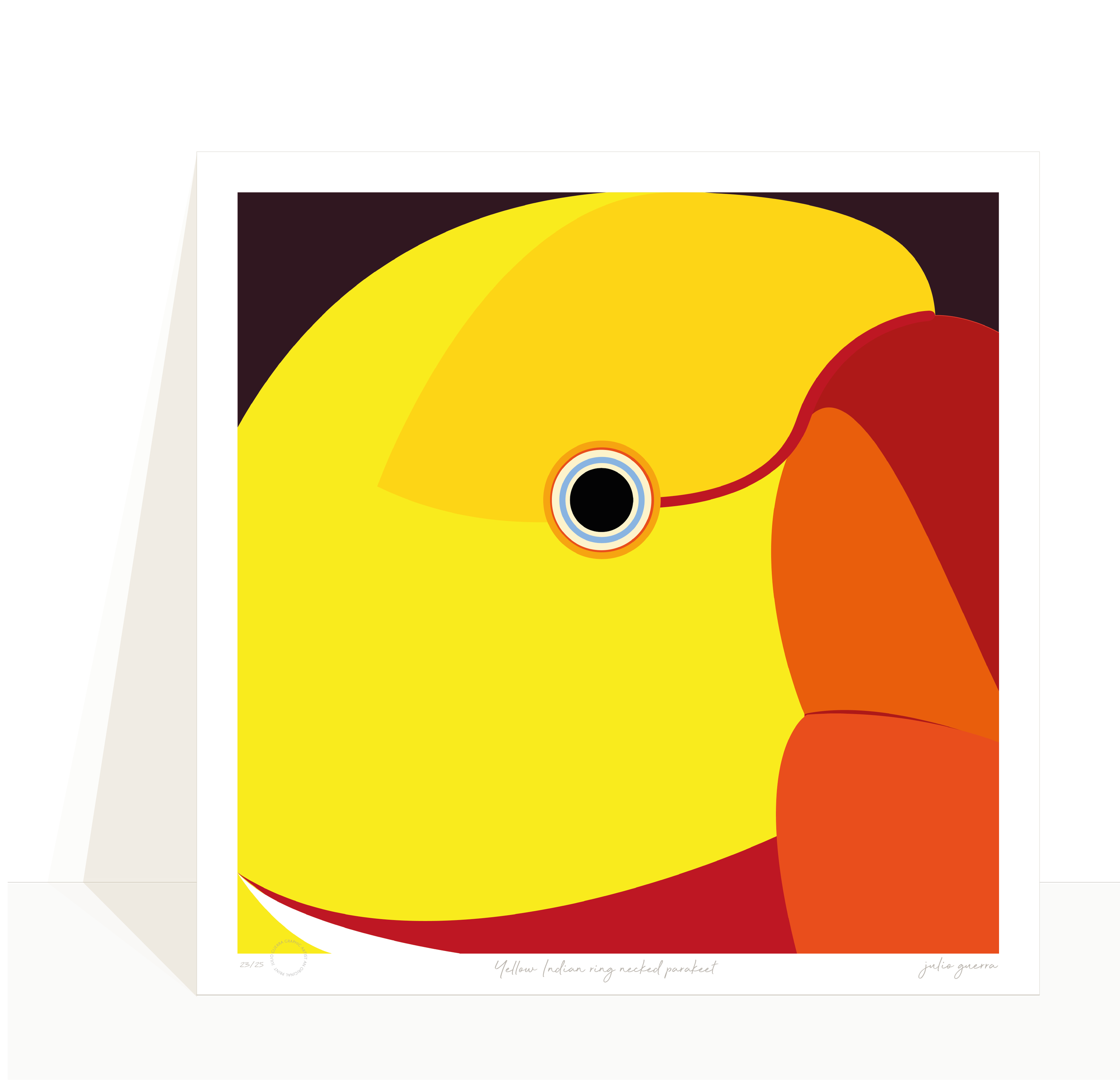 images birds for website-16.png