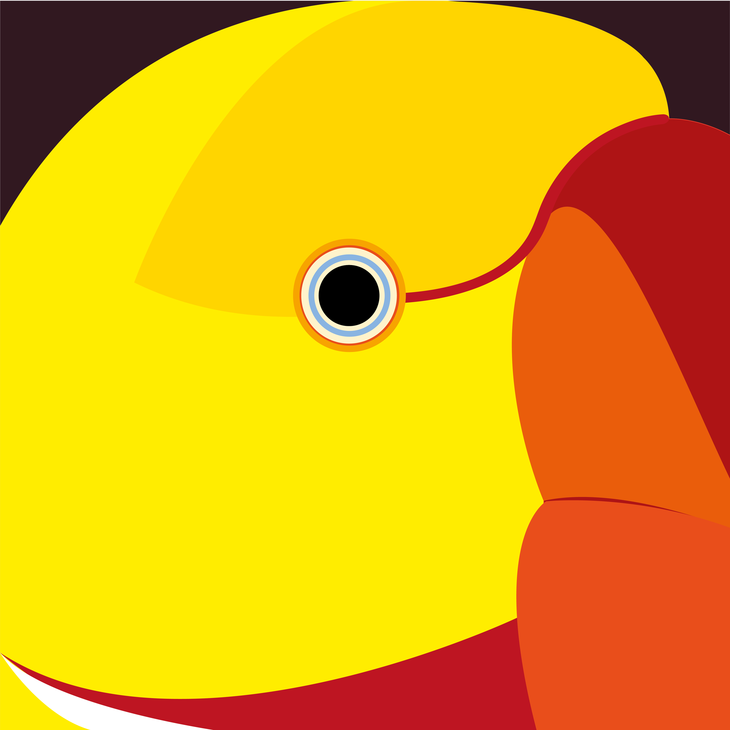 40 x 40 cm birds to print-39.png
