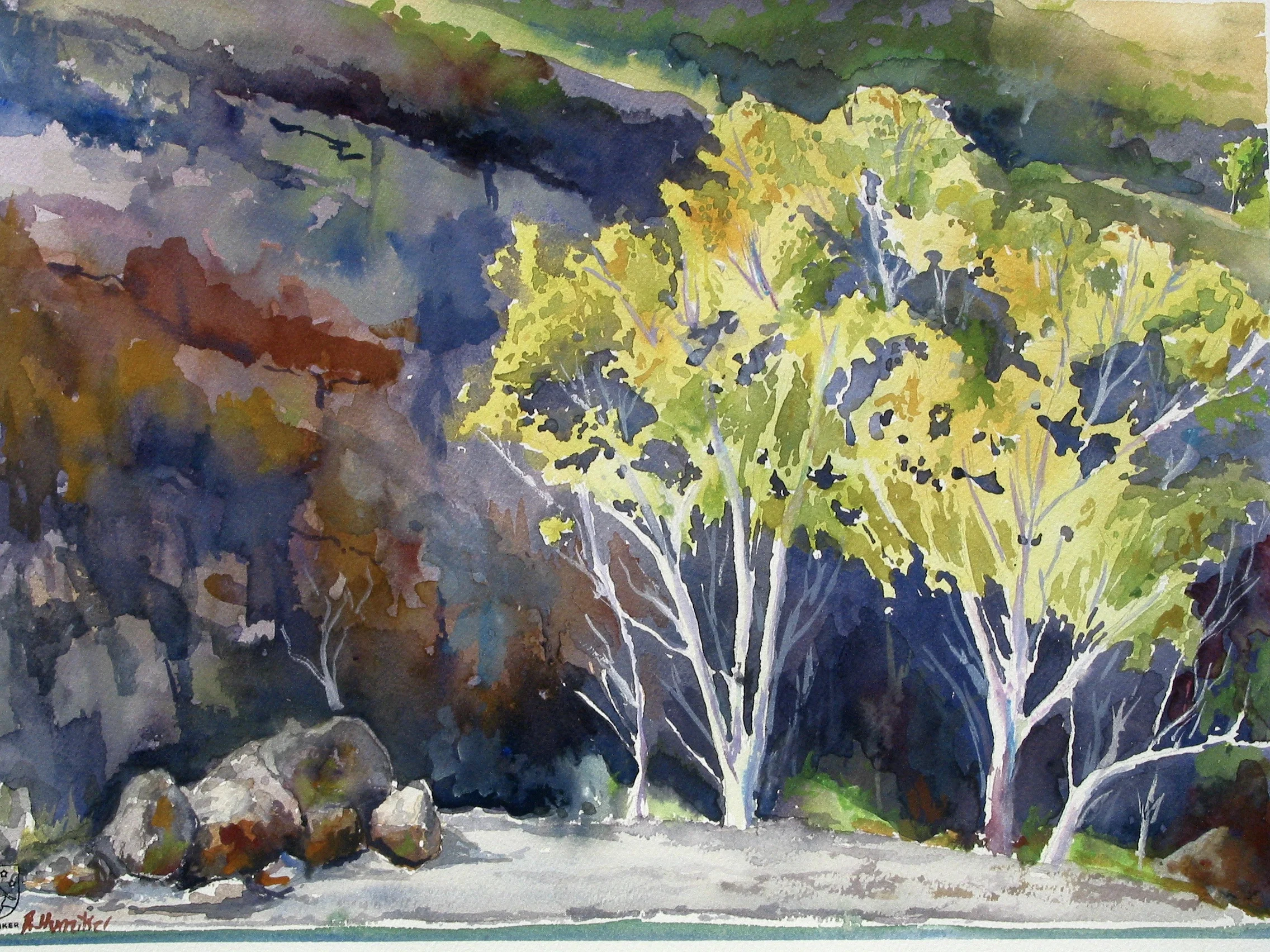 "Tinkers, Santa Cruz Is." Watercolor 16x12