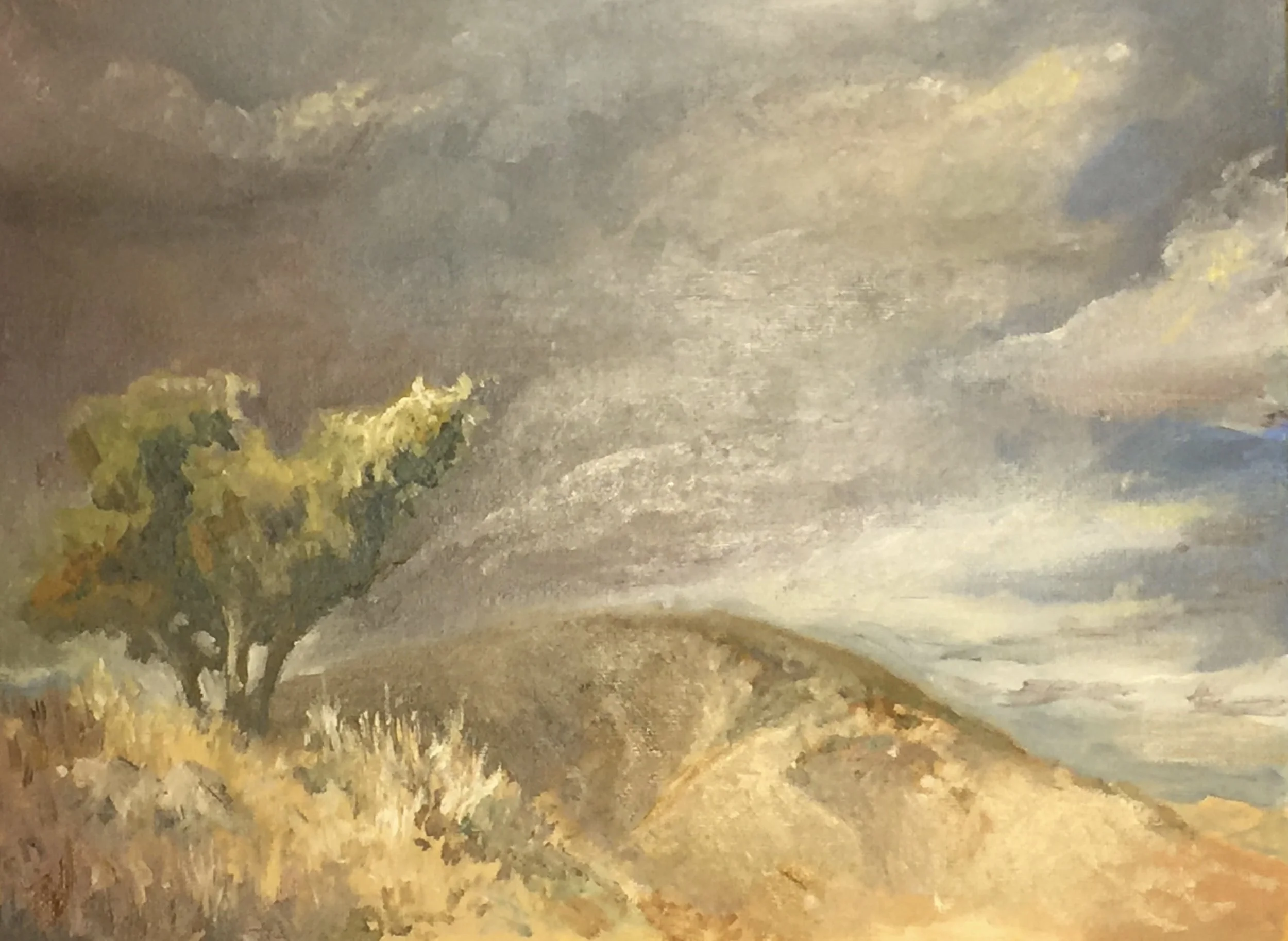 "Passing Storm Liberty Canyon" Oil 9x12