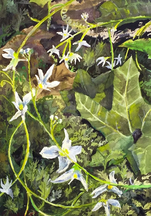 "Forest Floor" Watercolor 9x12