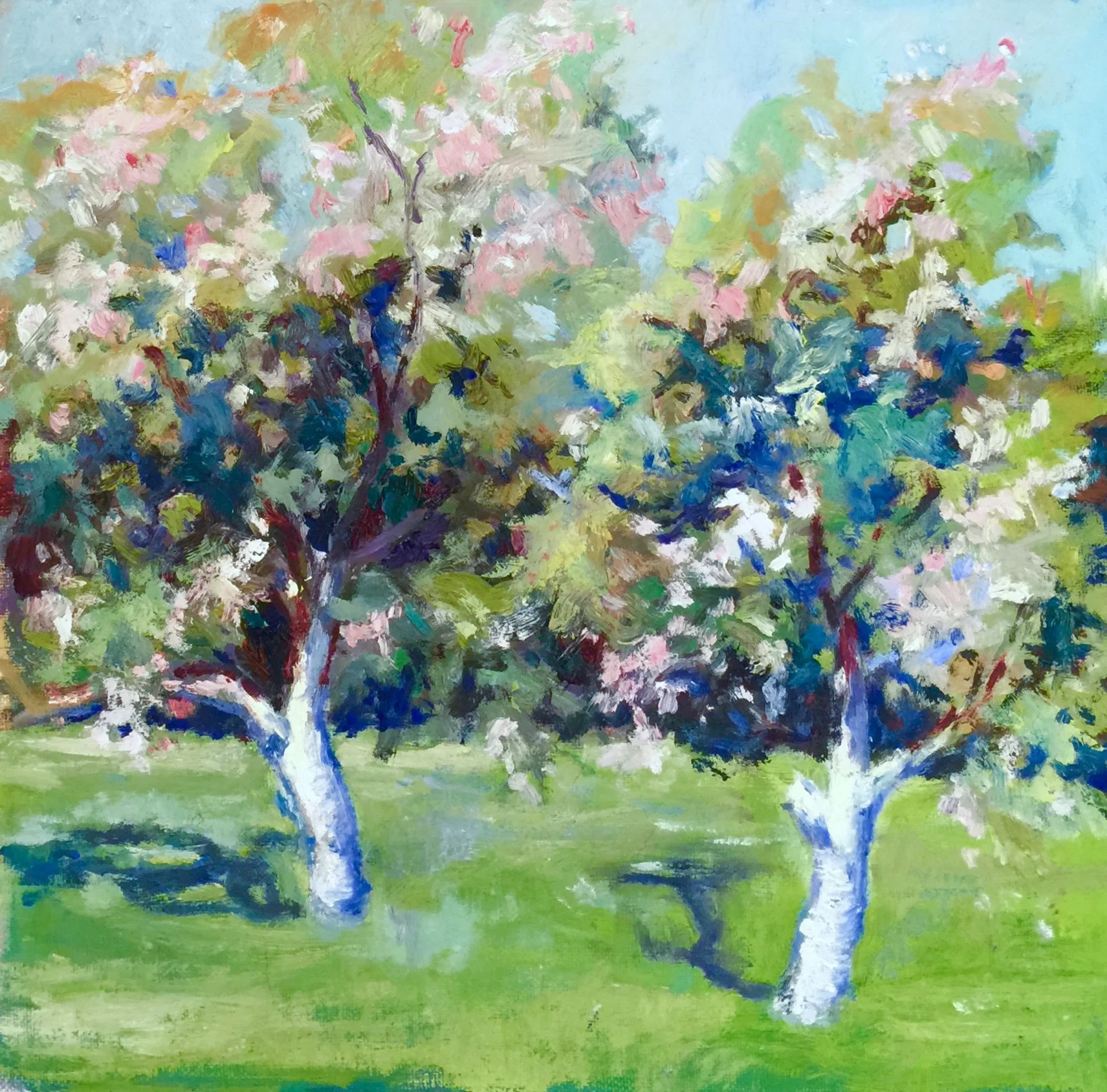 "Fruit Trees in Bloom" - King Gillette Ranch, Oil 12x13