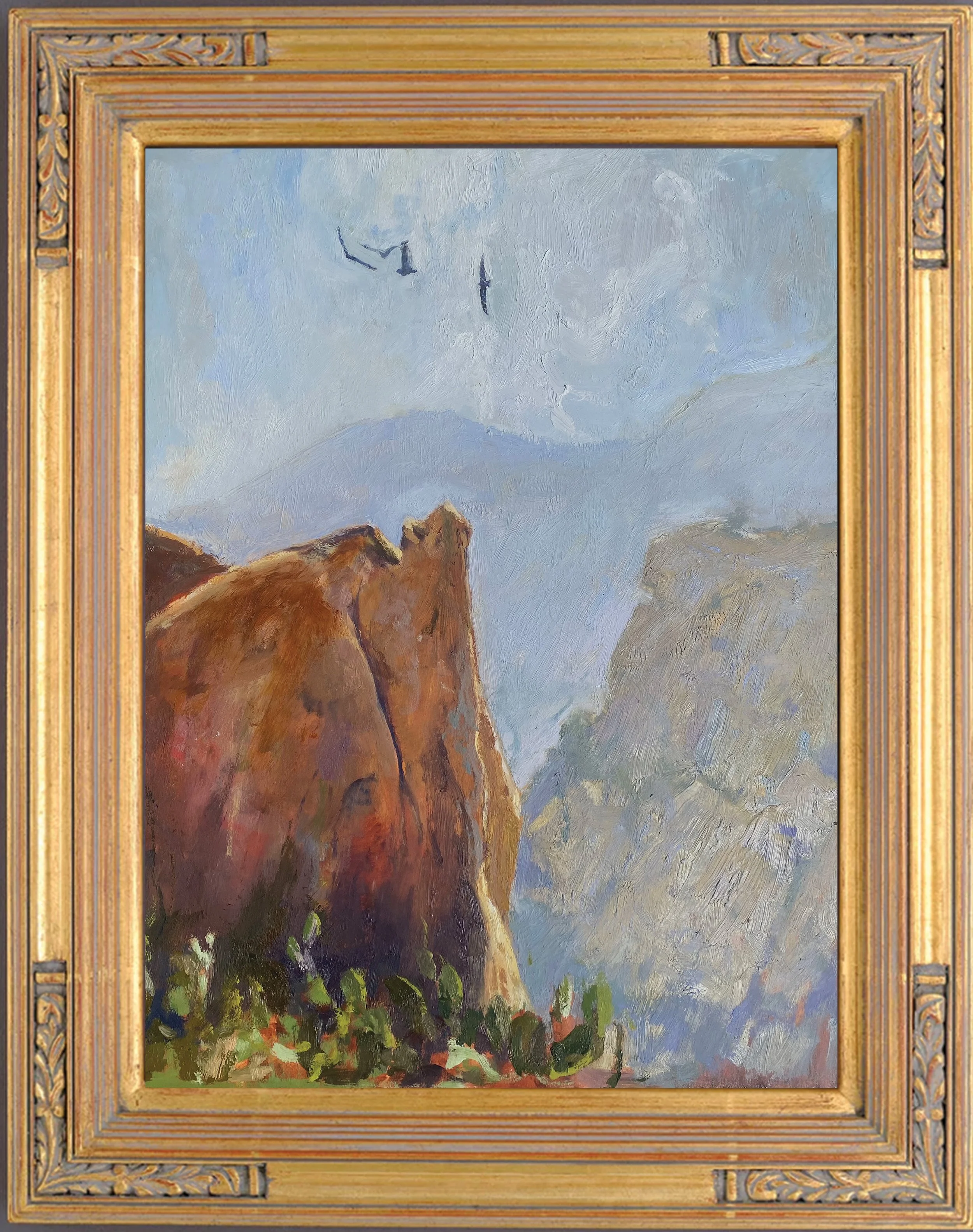 Morning Thermals, Coral Canyon