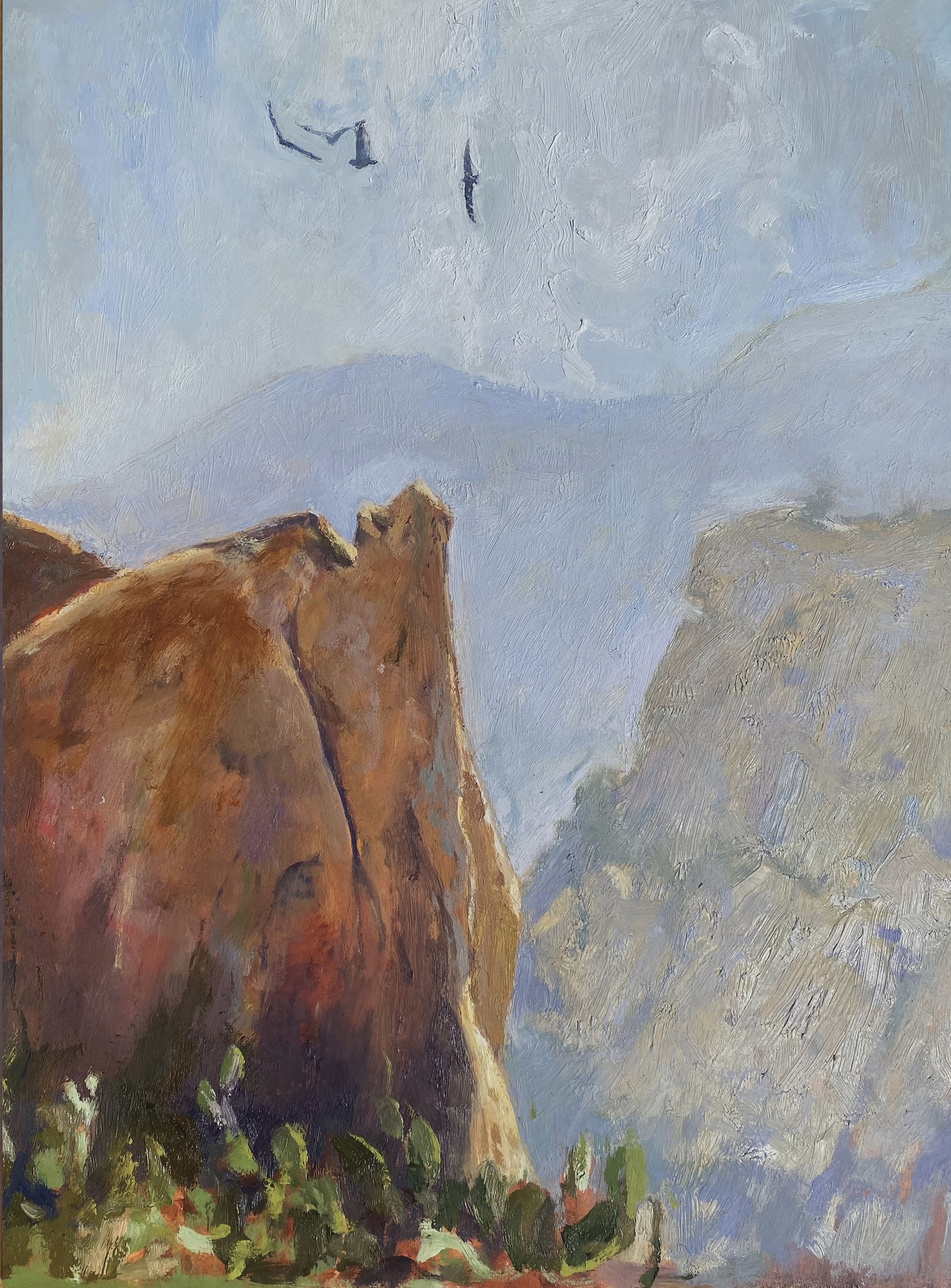 Morning Thermals, Coral Canyon