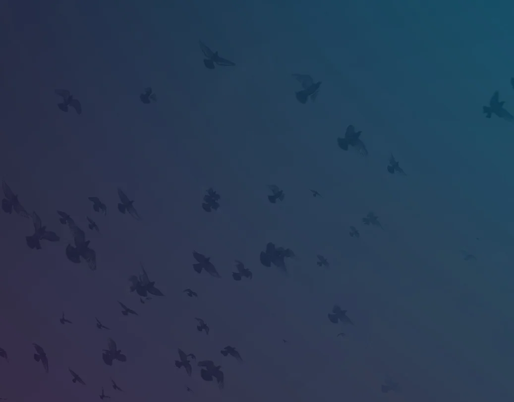 Background slideB.jpeg