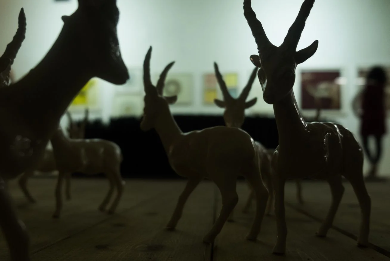 Gazella, Gazella, Gazella, Palestinian Gazelle at Manjm Haifa Culture Lab. 