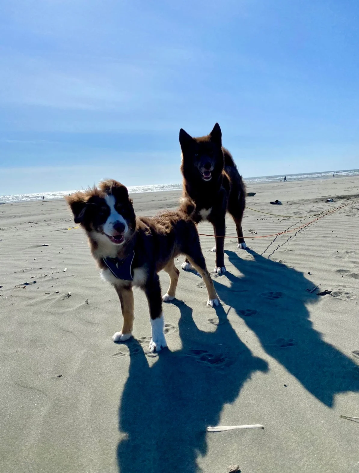 GLAMNORTHWEST: Comparing Beaches of the West Coast