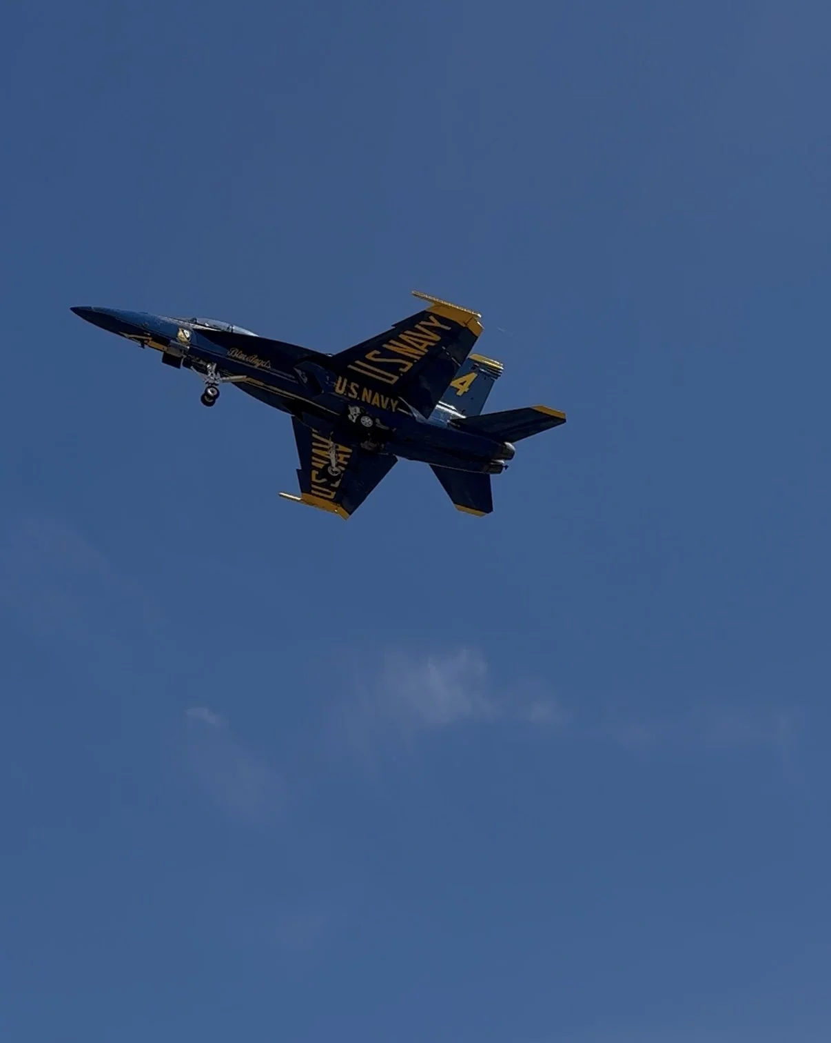 IMG_2628.jpeg