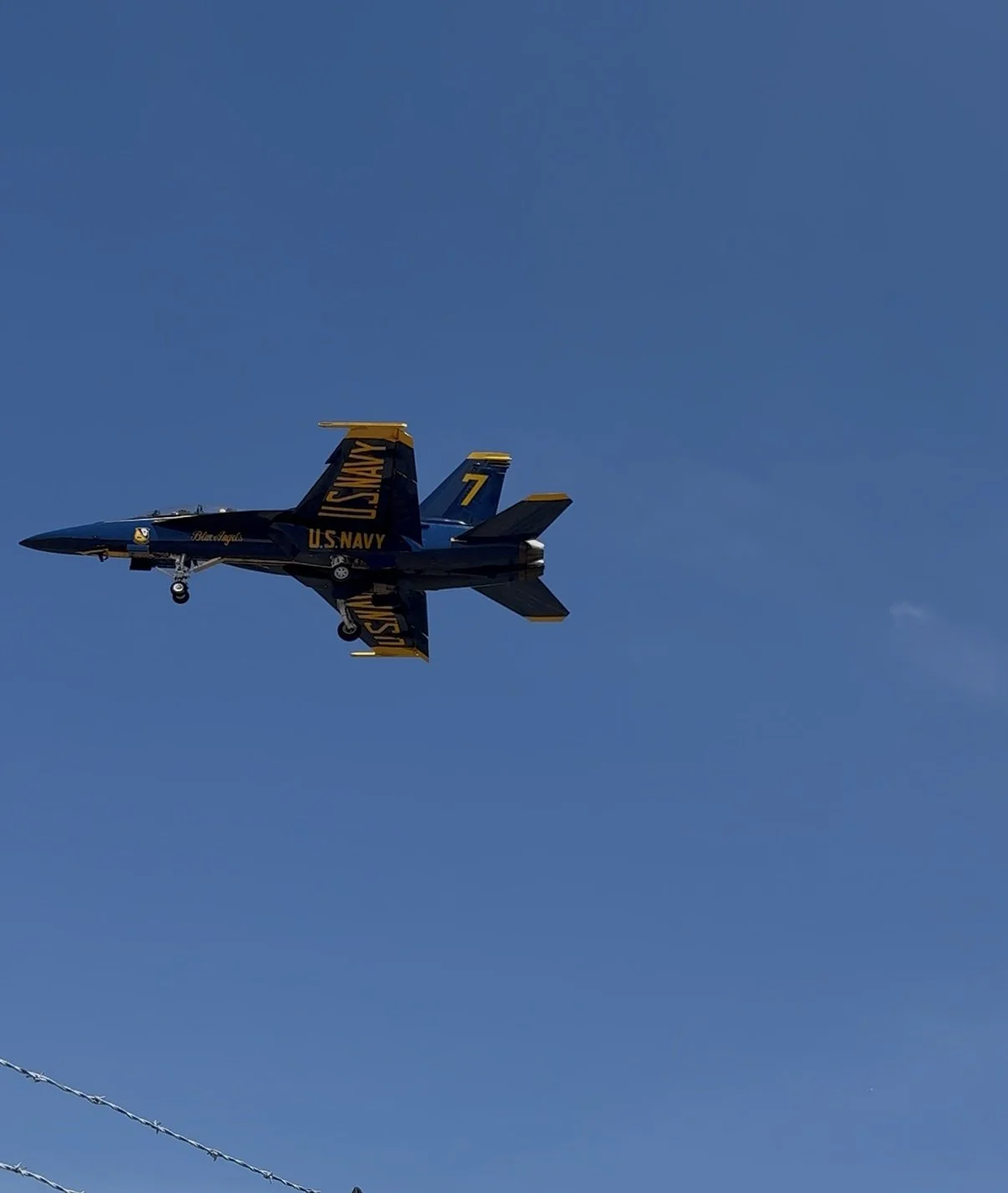 IMG_2631.jpeg
