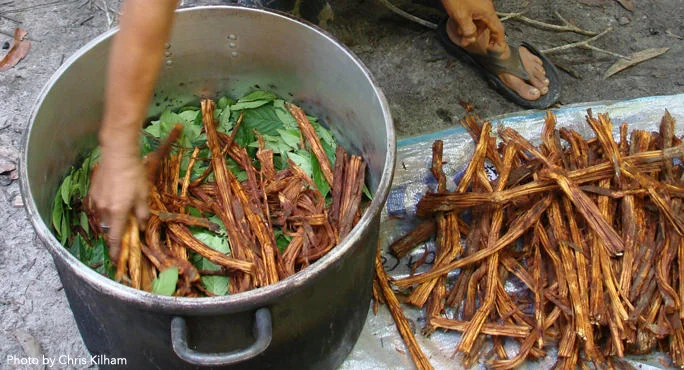 ayahuascaArkanaSpiritualCenter.jpg