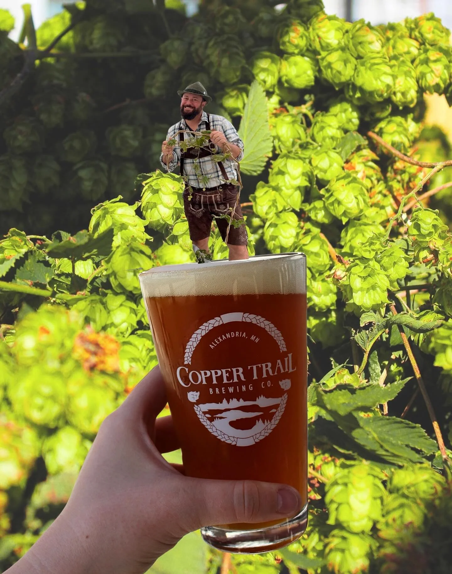 Wet N Wild back on tap!🍻 brewed from the hops you all helped up pick over Oletoberfest weekend! 

Hop over and try the wild hop IPA!

#alexandriamn #downtown #downtownalex #brewpub #brewery #minnesota #beer #craftbeer #fallseason
