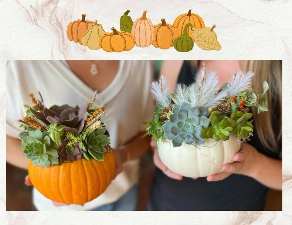 Pumpkins+Plants+Pints🎃🪴🍻

The perfect trifecta! Sign up for a pumpkin terrarium workshop October 24th 5-8pm! For more info and to reserve your spot visit the link!

https://allthingssucculents.com/products/succulent-pumpkin-workshop-at-copper-trai