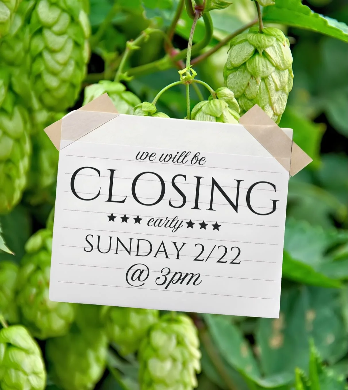 Closing early today! Have a fantastic Sunday!

#alexandriamn #brewpub #brewery #craftbeer #downtownalexandria