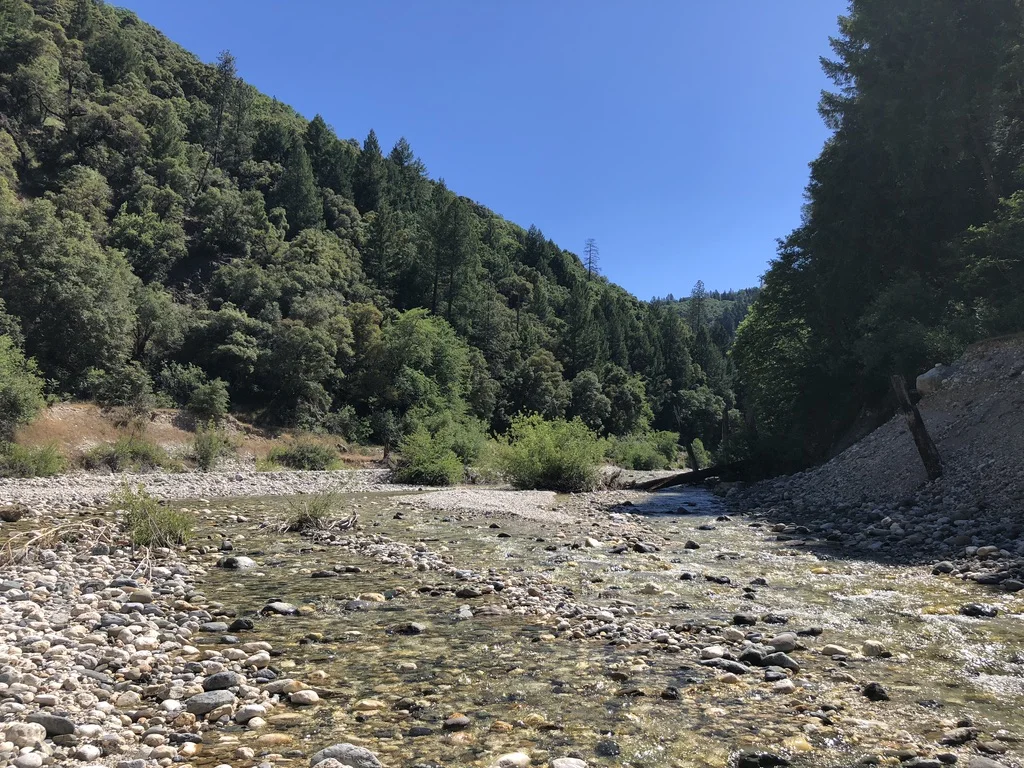 BEAR RIVER - PROSPECTING IN MEMORY OF OPA