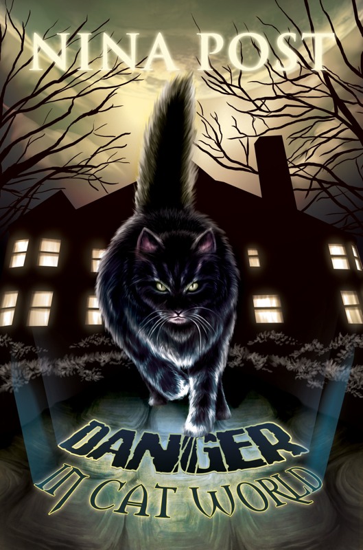danger-in-cat-world-cover-front-800.jpg