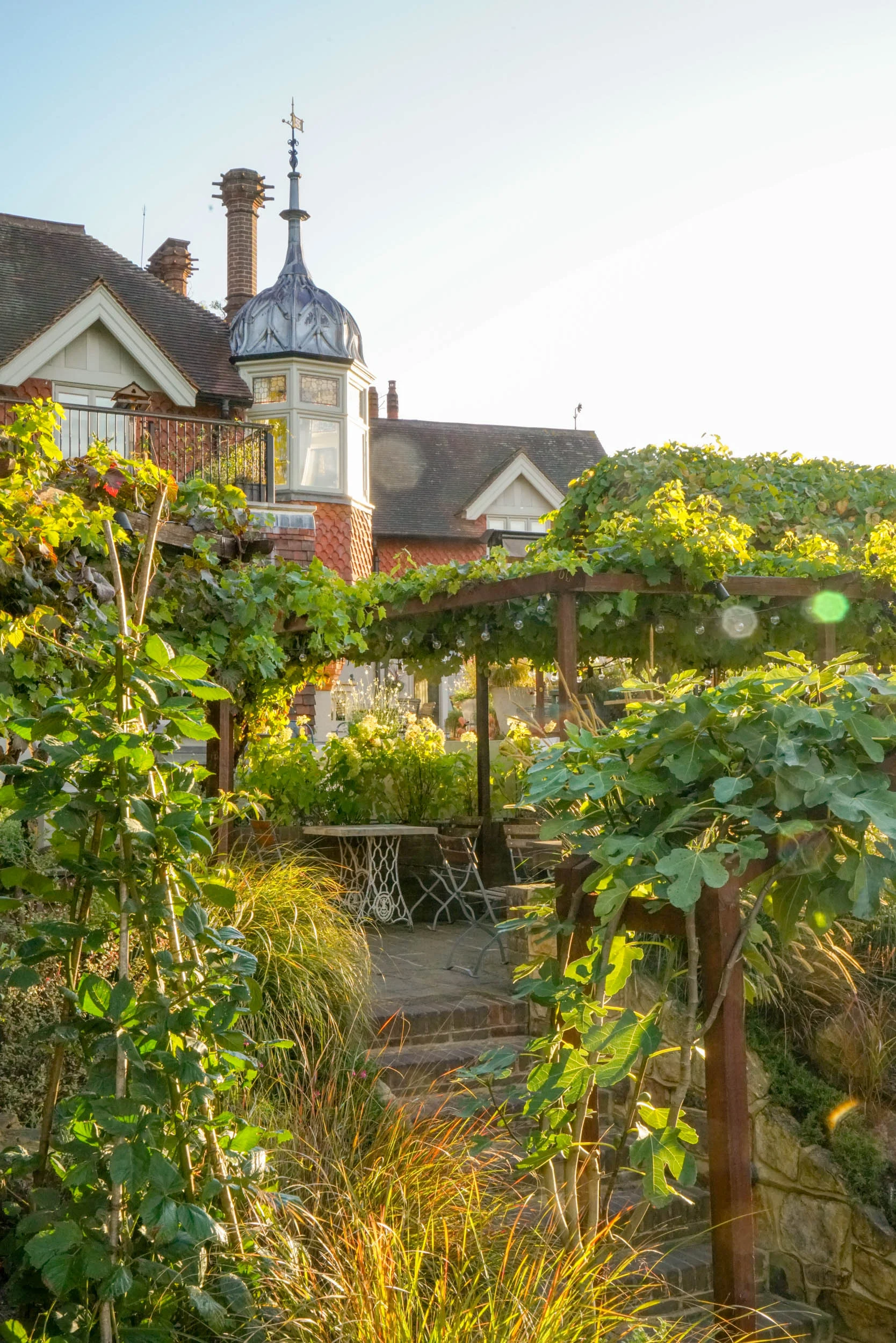 View of the tower through the grape vines in the welcome area at The Beacon, Tunbridge Wells, Kent.