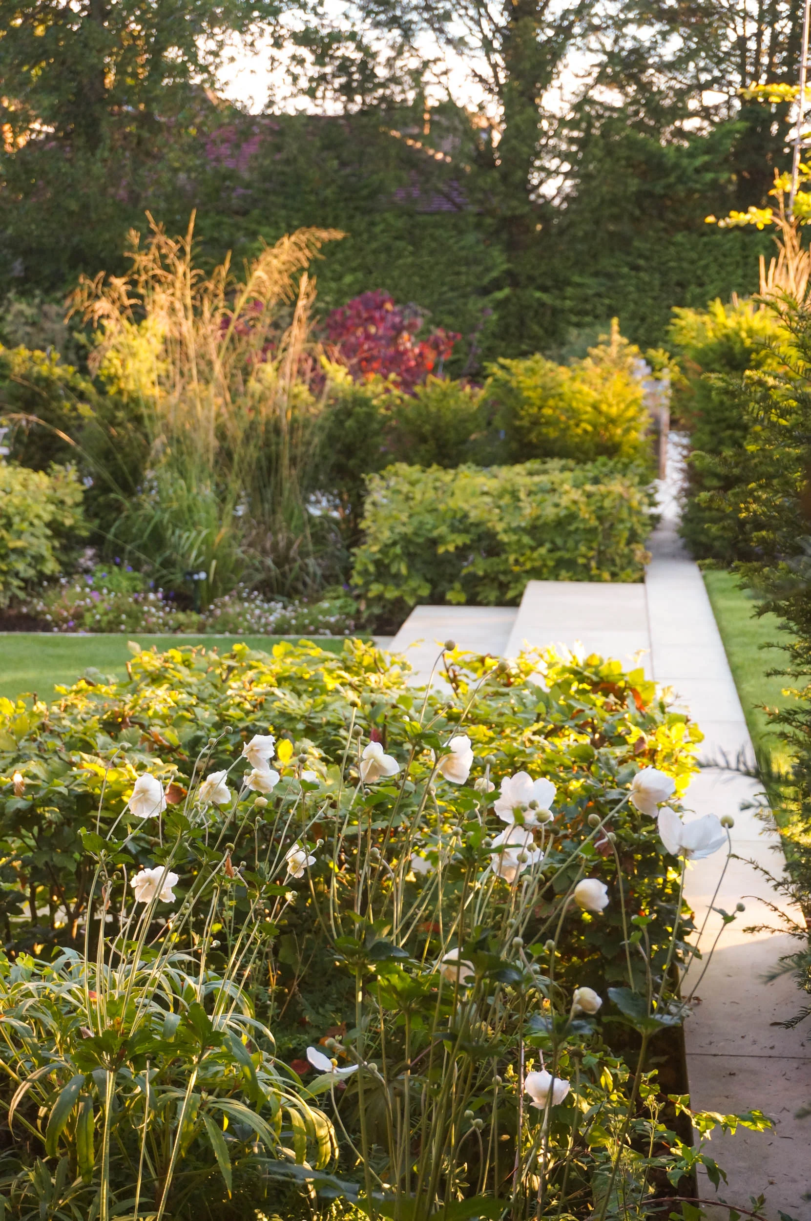 Simple stone steps to the formal lawns, Beckenham, London