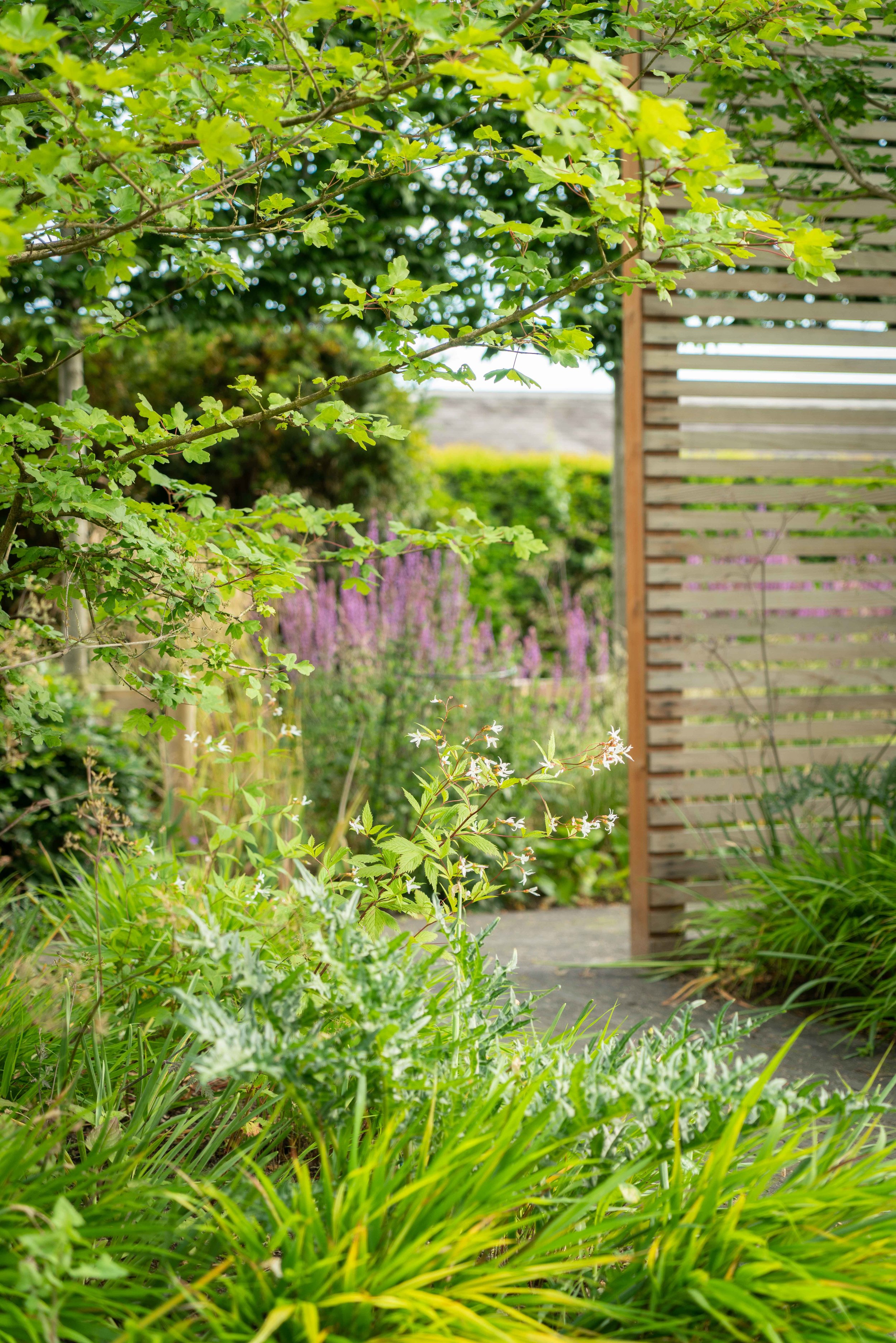 Modern & Contemporary Pool Garden, Marden | Garden Design | Kent ...