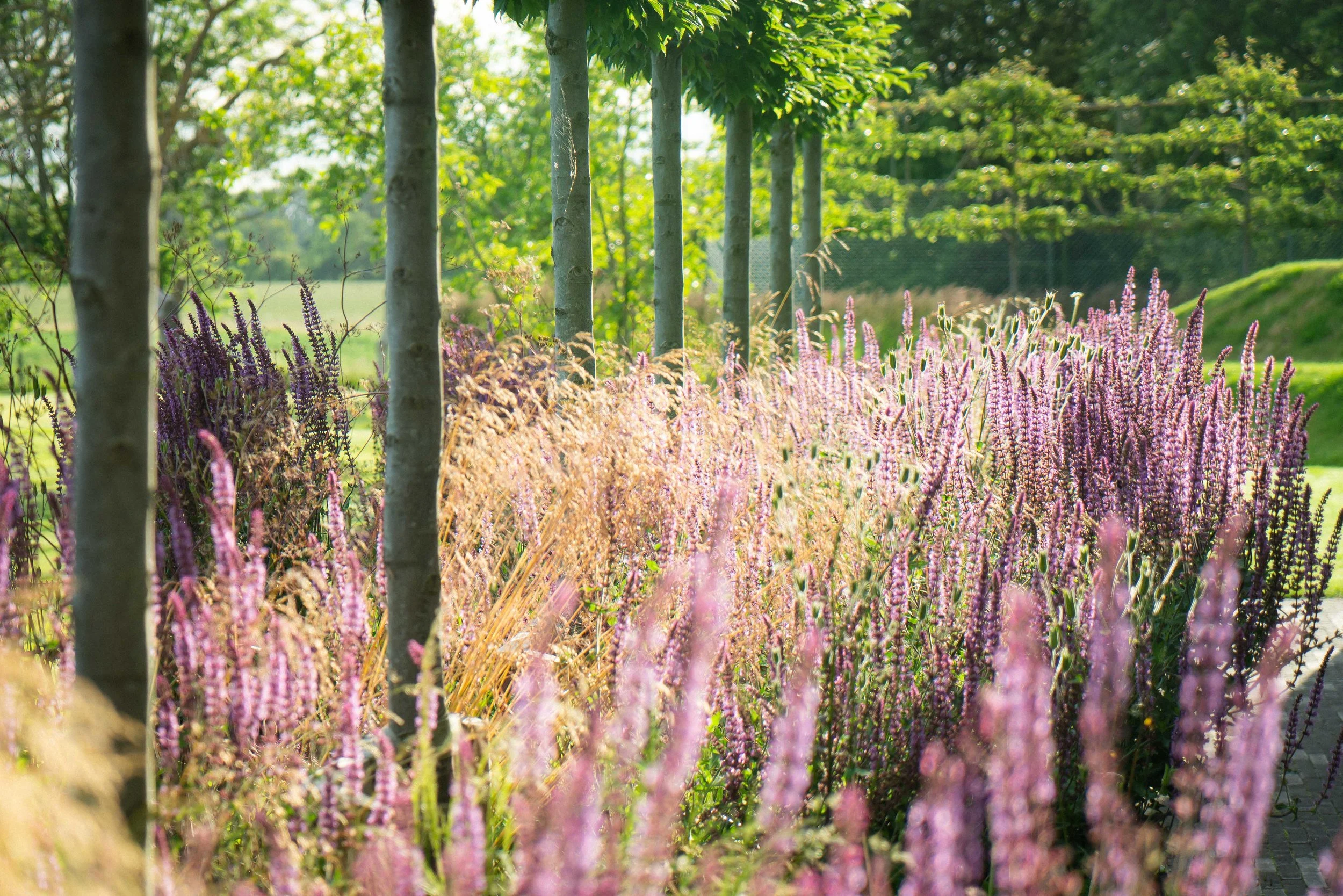 Farlamandchandler_Gardendesign_Tunbridge Wells_Kent_Pool Garden-27.jpg