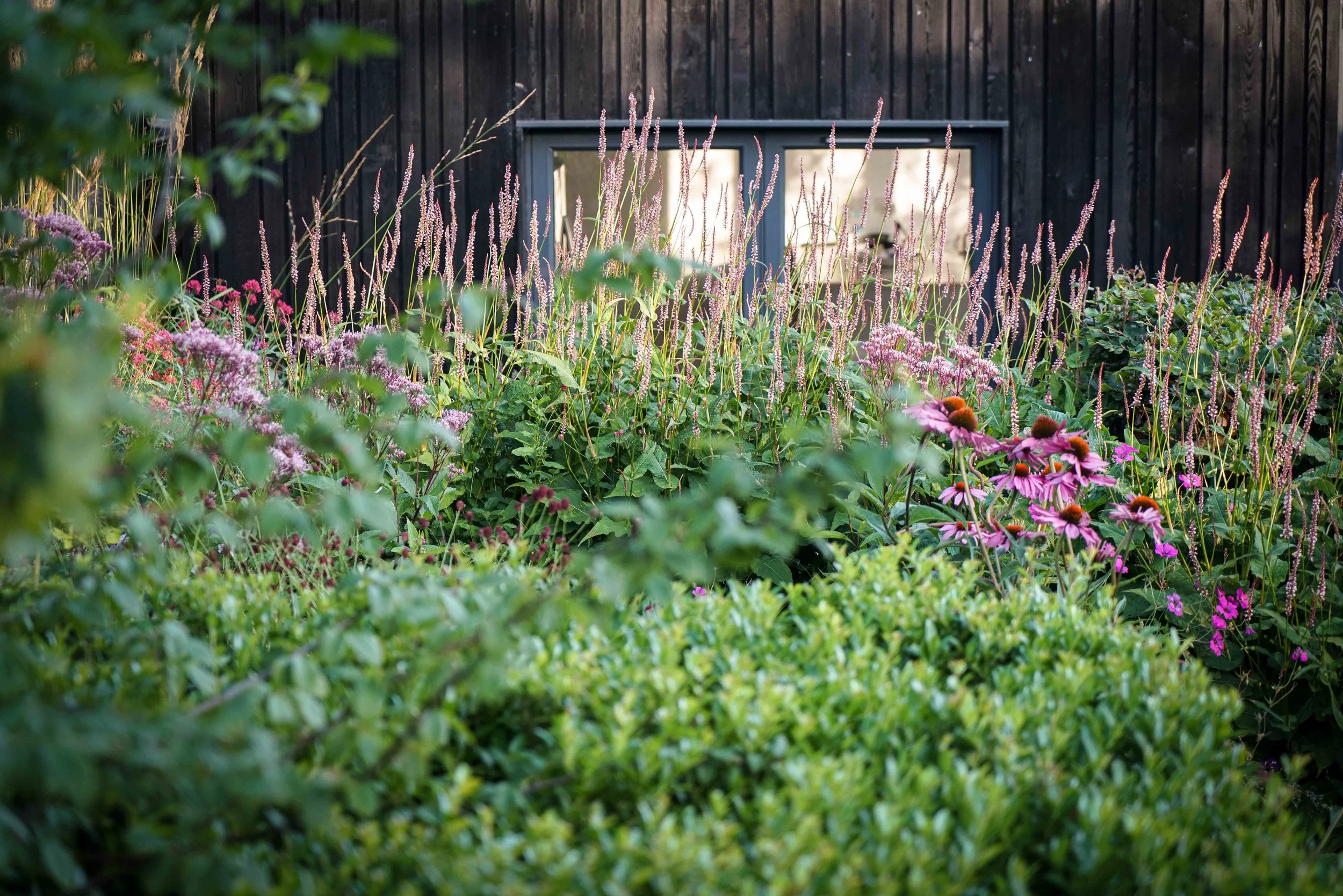 Farlamandchandler_Gardendesign_Tunbridge Wells_Kent_Pool Garden-11.jpg