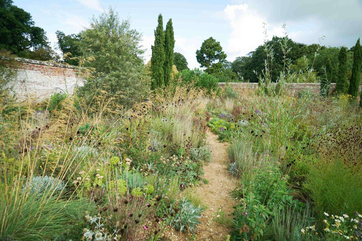 Studio visit to Knepp's walled garden last week, research for our project on the Kent coast. 

The fantastic rewilded garden importantly challenges the conventional gardening mindset, creating a garden which primarily provides for wildlife to help re