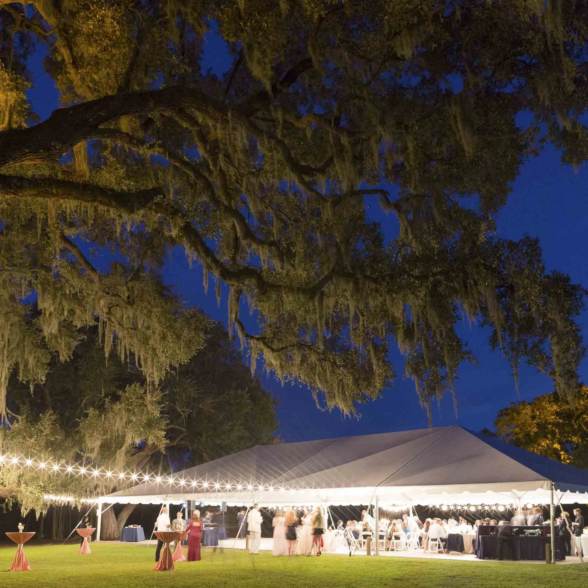 McLeod Plantation Wedding Reception.jpg