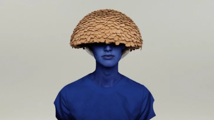 cultuurcollege_introverte_professional.jpg