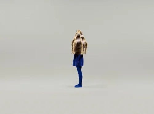 cultuurcollege_introverte_professional.jpg